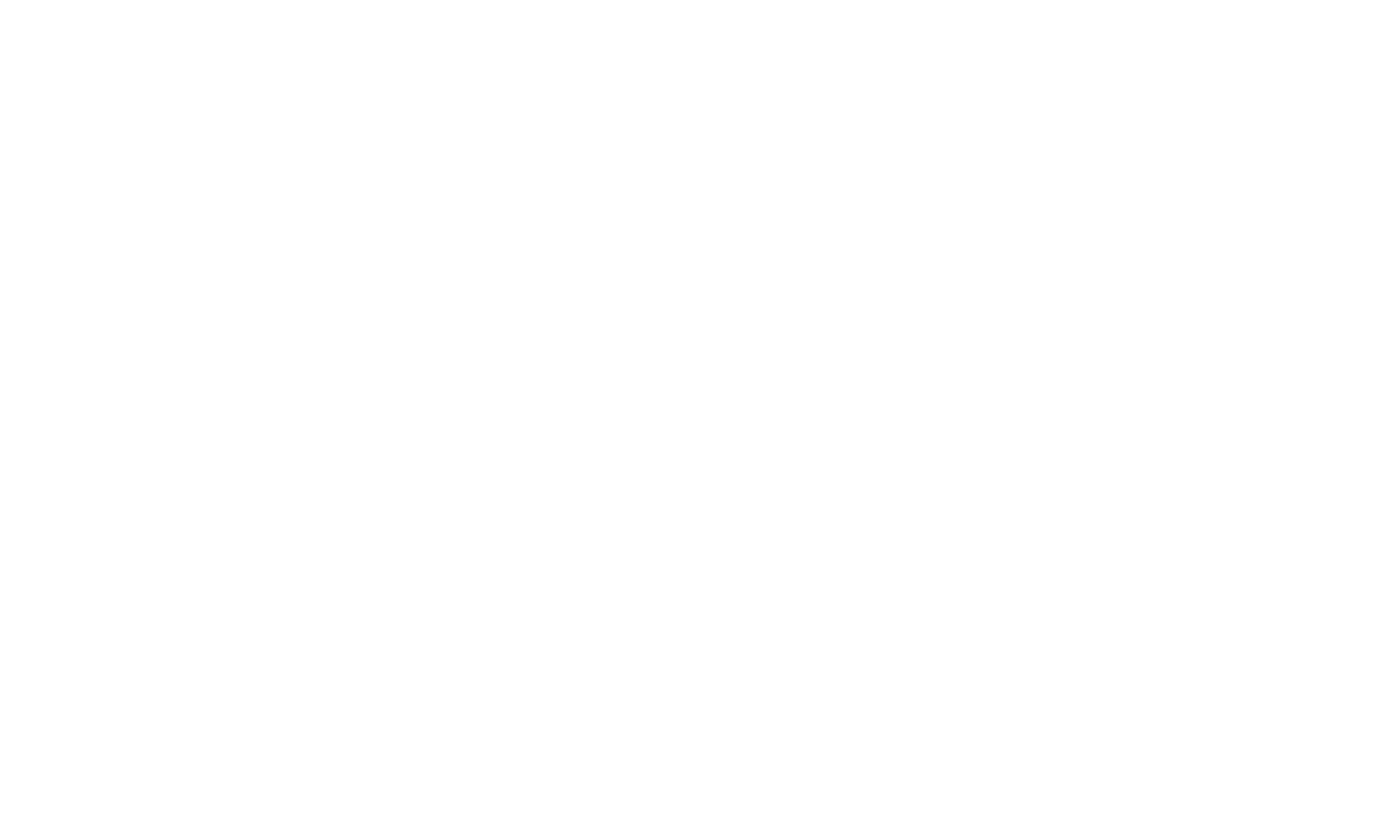 Bazaar Horizons logo