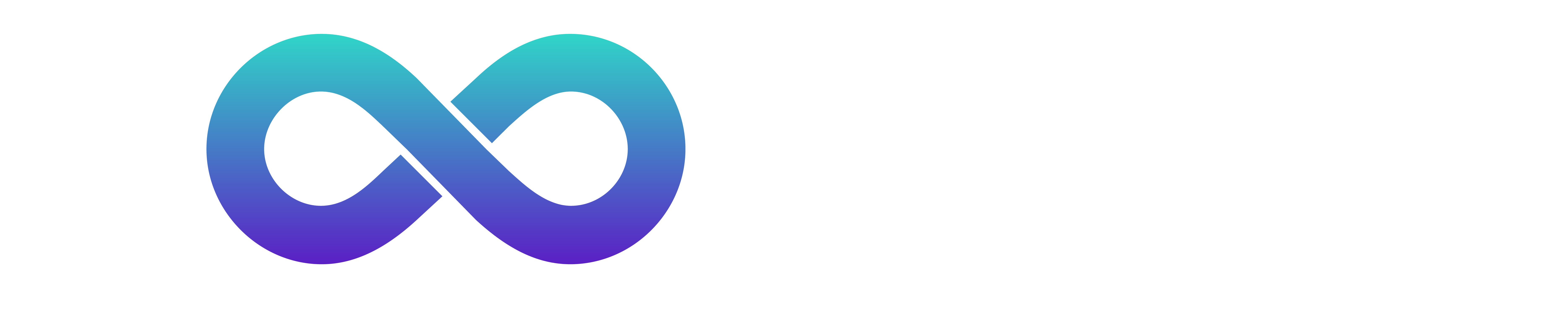 Loom Co. logo